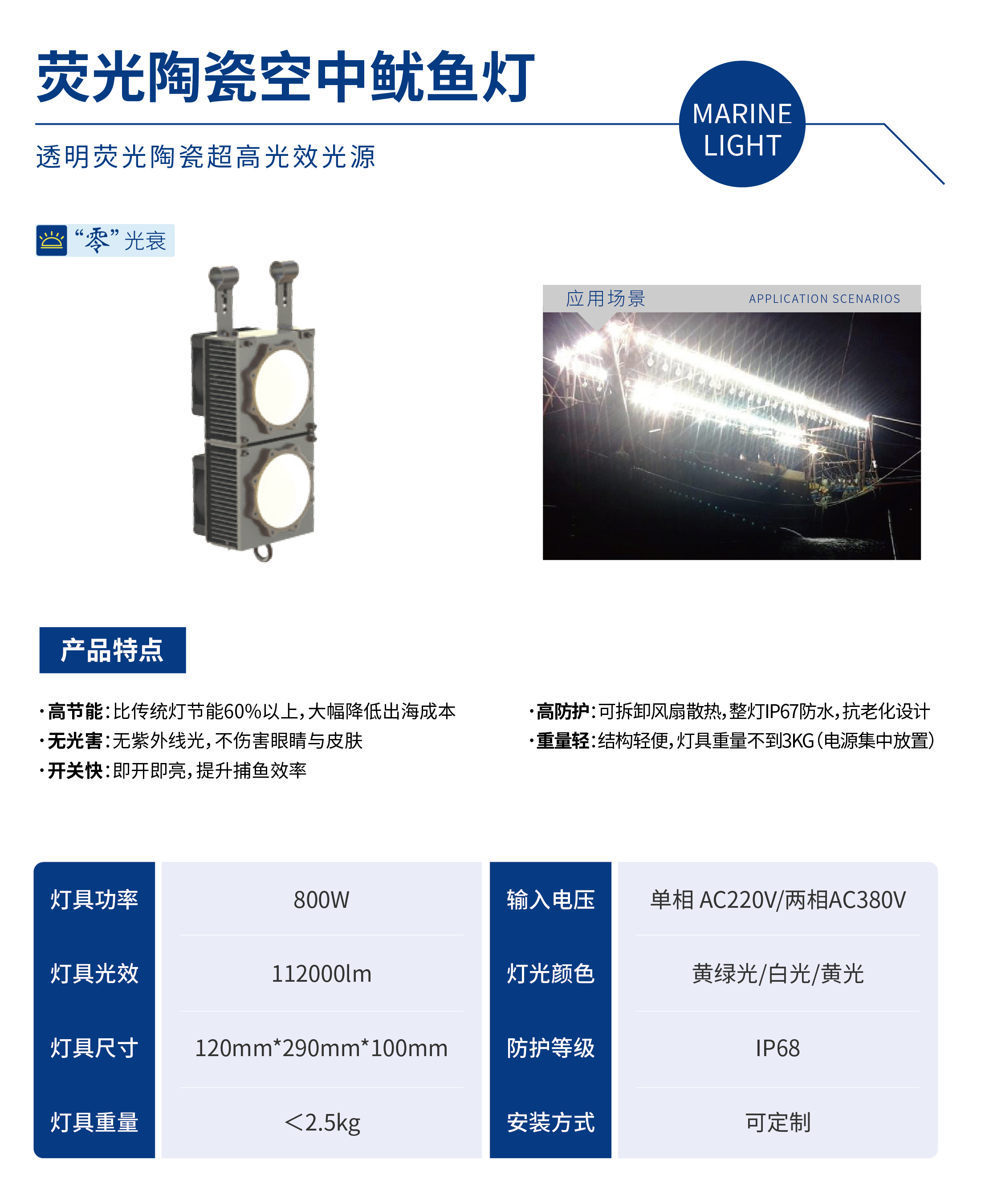鱿鱼灯.jpg