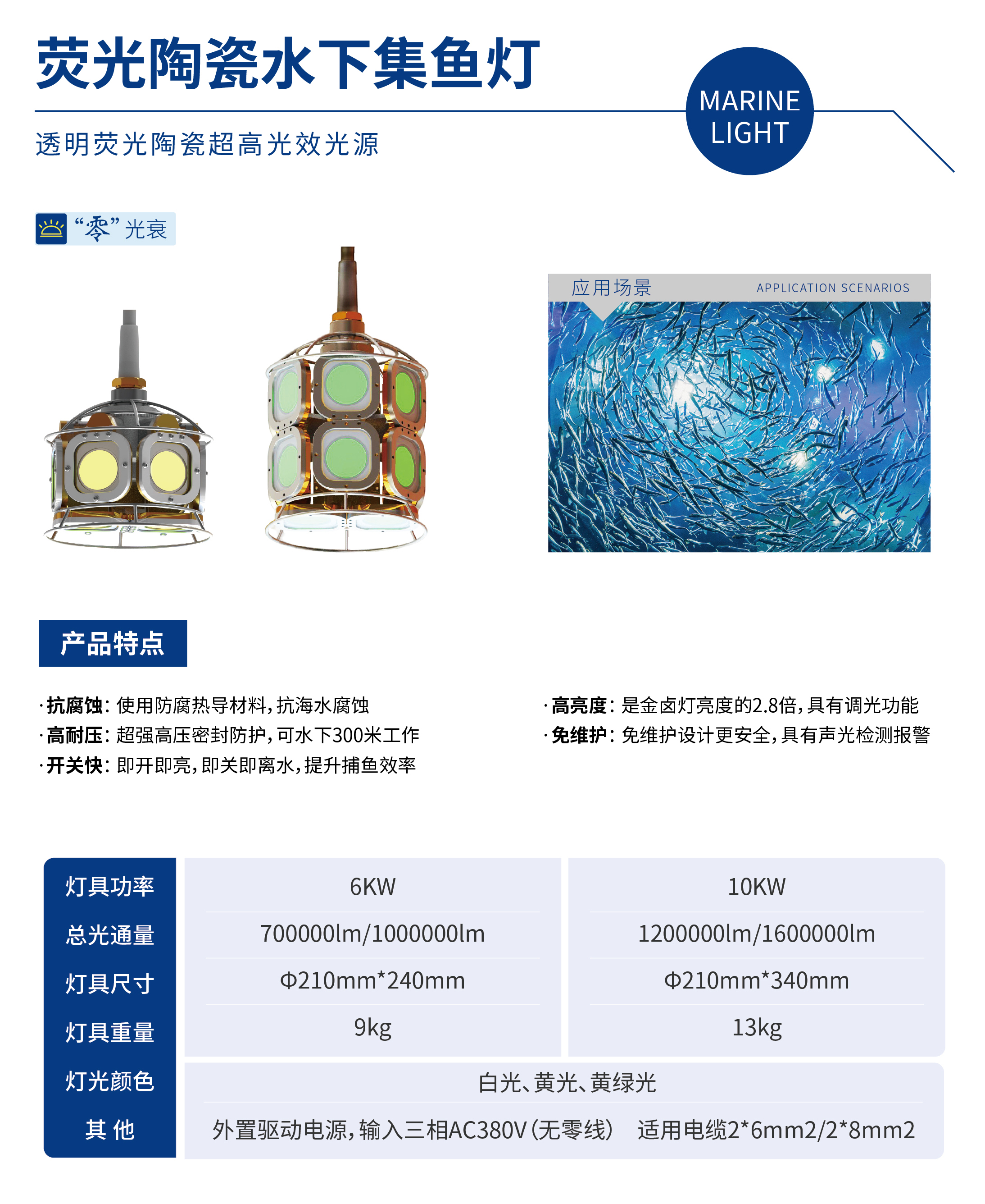 集鱼灯.jpg