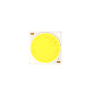 φ25mm光源